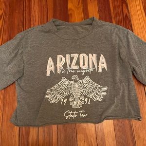 Arizona Grey Crop Top